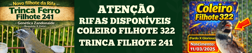 CLIQUE AQUI E COMPRE SEU NÚMERO DA RIFA