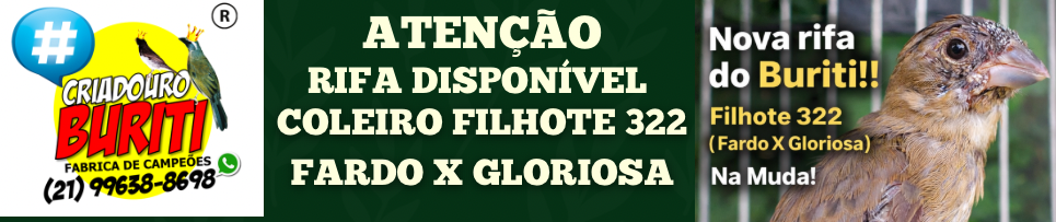 CLIQUE AQUI E COMPRE SEU NÚMERO DA RIFA