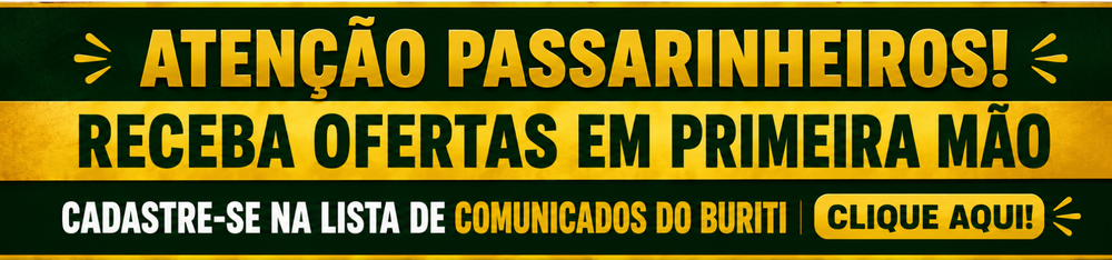 Lista Comunicados