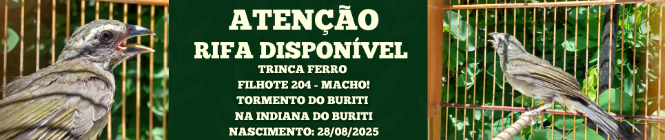 CLIQUE AQUI E COMPRE SEU NÚMERO DA RIFA